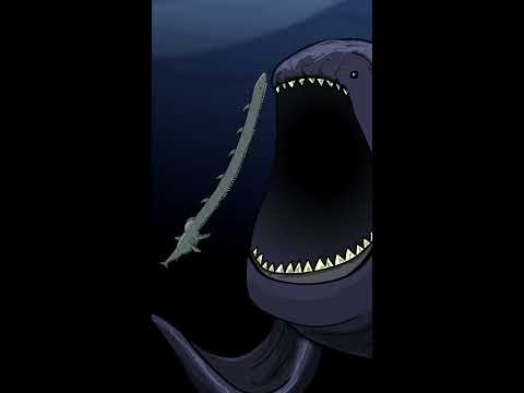 The Bloop Diet Shorts