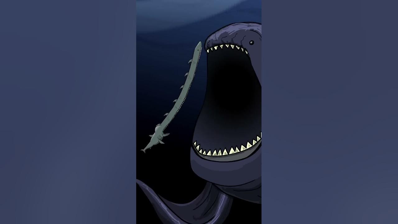 The Bloop Diet #shorts