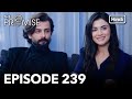 The Promise Episode 239 Hindi Dubbed 
