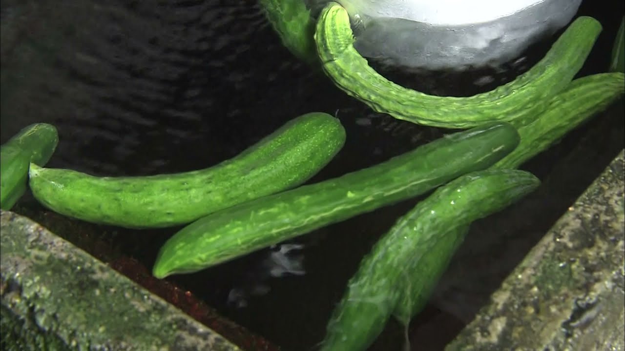 淡海をあるく　針江の生水　高島市