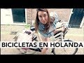 Las bicicletas en holanda ¿Hay semáforos especiales?