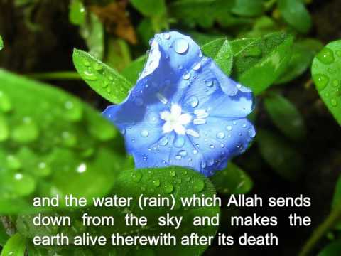 Beautiful Qur'an Recitation (Surah Al-Baqarah vers...