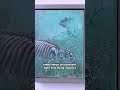 Karen Bondarchuk - Visual Artist | Kalamazoo Lively Arts  #shorts