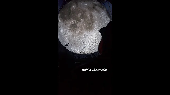 Time Forgot - Conor Oberst cover by Wolf In The Meadow