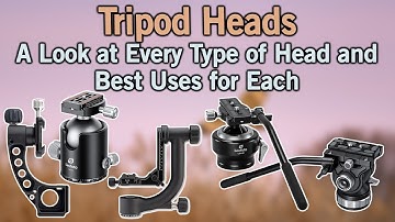 Tripods Head and a Look at Each Type and Their Best Uses