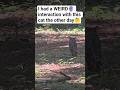 #weirdmoment #spritual #catshorts #catsofyoutube #catlovers #meow #outside #messanger #catmoments