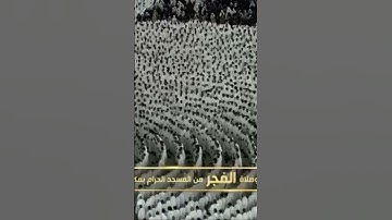 صلاة الفجر من رحاب المسجد الحرام الشّيخ عبدالله الجهني خواتيم سورة المجادلة يوم الخميس ١١ صفر ١٤٤٦هـ