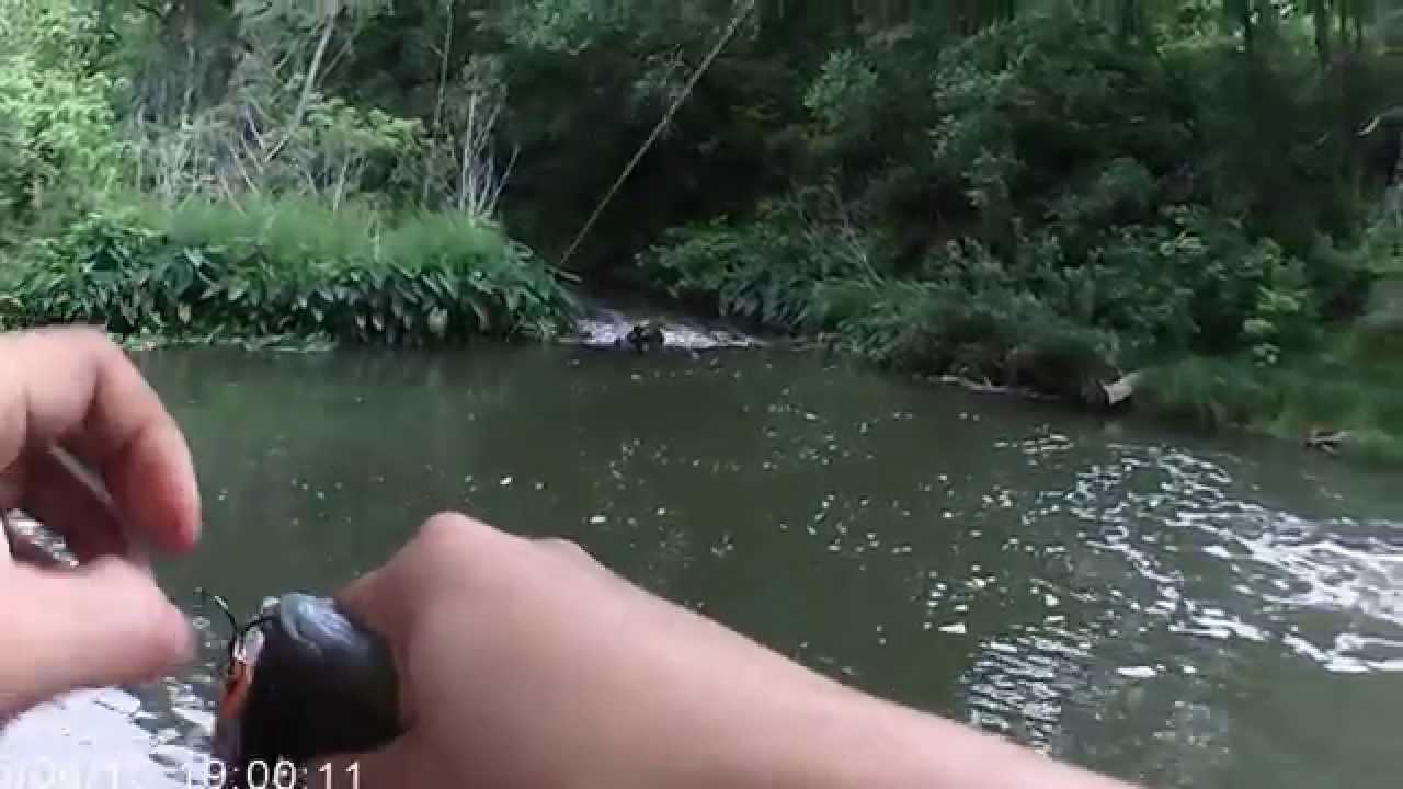 Fishing Cibolo Creek