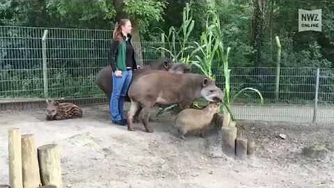 Christine Richter - neue Zoodirektorin im Jaderpark