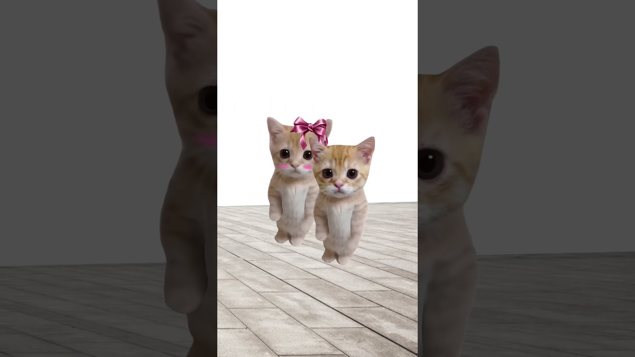 Какие признаки того , что в тебя влюбились? Кисы объясняют 😻