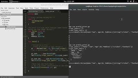 Go Golang json.Marshal returns {} when struct field start with lowercase