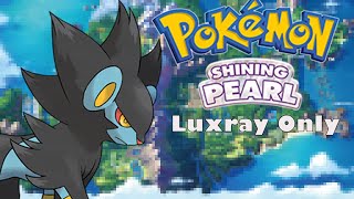 Can I Beat Pokemon Shining Pearl With Only Luxray? | No Items In Battle