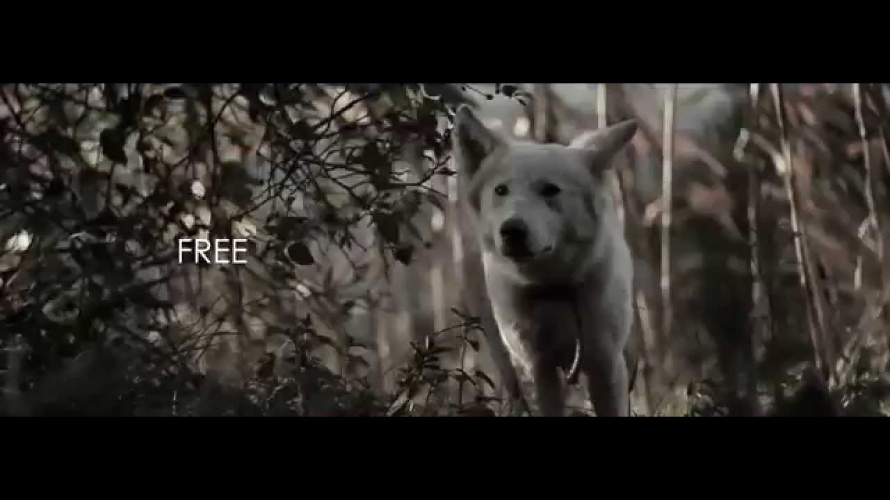 JAYMVEE - FREE (Video oficial)