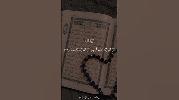 سورة البقرة الآيات 77 - 82 #المصحف #اكسبلور #قران