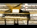مقدمات فيديو موسيقى متحركه لمونتاج اجمل الافلام 2013
