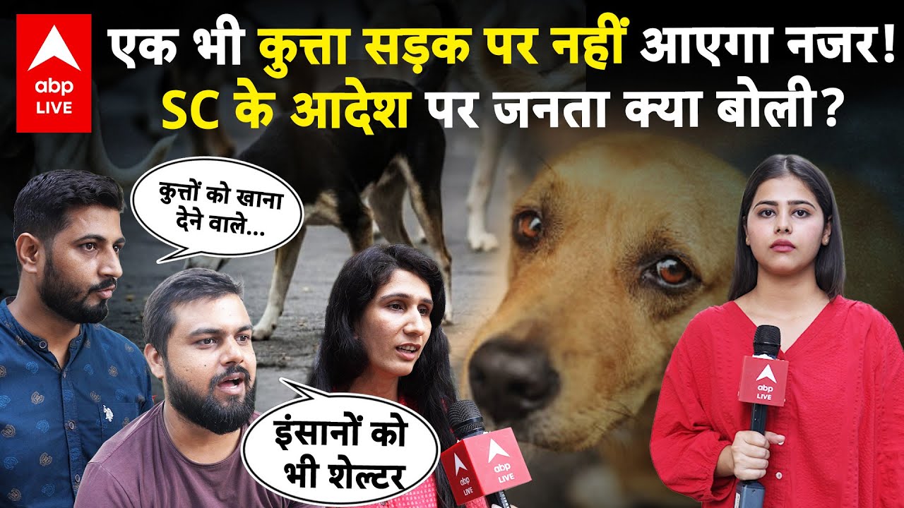 Dogs Banned: कहां जाएंगे कुत्ते...SC आदेश के बाद कुत्तों को लेकर जनता में  टकराव! |ABP LIVE