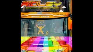 Kumpulan bus tik tok keren