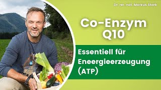 ⚡ Mehr Energie mit Coenzym Q10 - Essenziell für Energieerzeugung (ATP) ⚡ Dr. rer. nat. Markus Stark