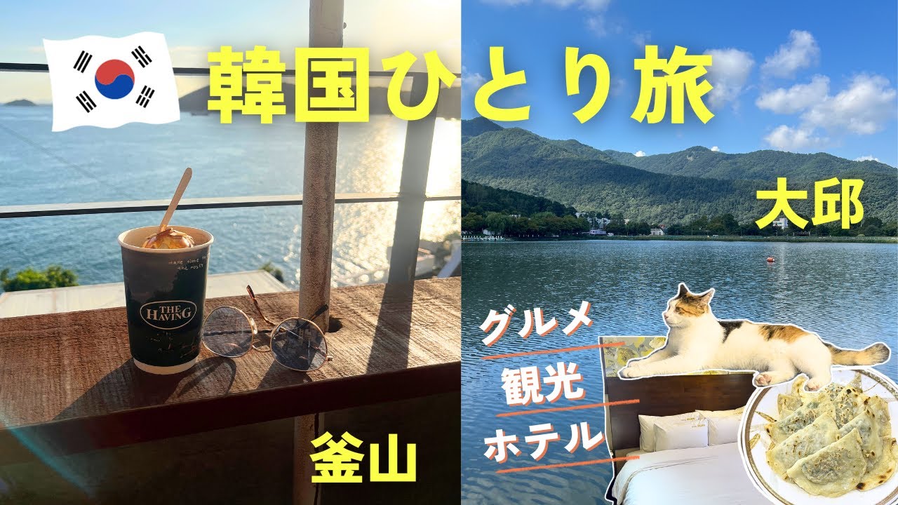 Busan & Daegu 🇰🇷 Solo travel vlog - YouTube