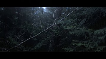 Projections in the Forest