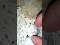 A wealth of history in the wallet Dinar Coin Country