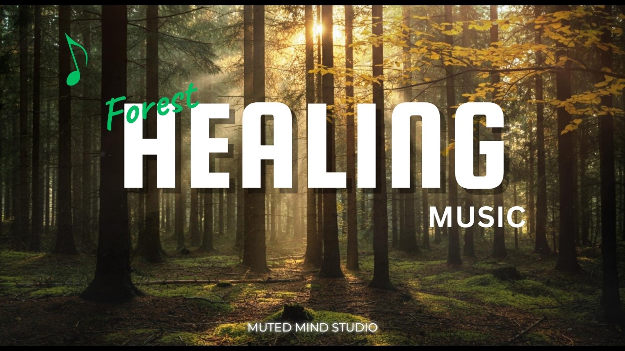 Forest Ambient Healing 432Hz | 3 Hours Music for Relaxation & Inner Calm | Muted Mind Studiog1