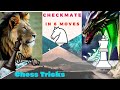 Win Chess Games In 6 Moves