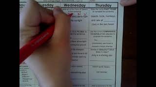 5th Grade Language Review Q1 5
