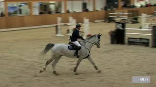 Download Lagu Clooney, Jumper for sale, Riesenbeck Indoor MP3