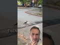 This Crow Outsmarts Traffic Like A Pro