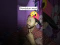 lucu #funny #vidiolucu #funnyshorts #fyp #ngakak #ngakakkocak