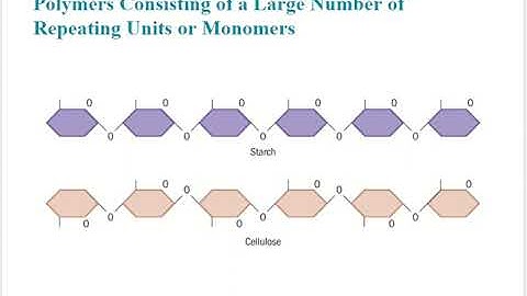 Forensic Science (College) - Hairs and Fibers (Chapter 11)