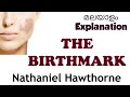 The Birthmark: Nathaniel Hawthorne ||Malayalam Explanation and Short Summary ||