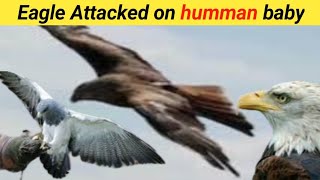 Why Did the Eagle Target a Human Child? Exploring the Reasons Behind the Attack"