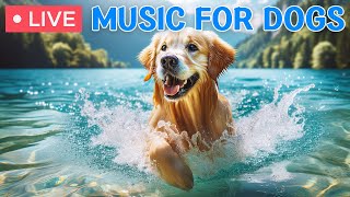 Dog Music🎵Dog TV & Best Fun Entertainment for Bored Dogs - Anti-Anxiety Music for Dogs, Calm Dog