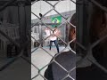 Capoeira no Encerramento evento de lutas causadas Exelent Figth PrimeirA Edição #luta