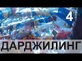 Индия путешествие на Северо-Восток. Эпизод 4