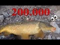 Amandrayla sazan av float fishing for carp fargman1