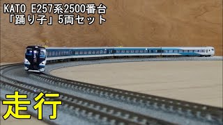 鉄道模型Ｎゲージ KATO E257系2500番台「踊り子」5両セットの走行