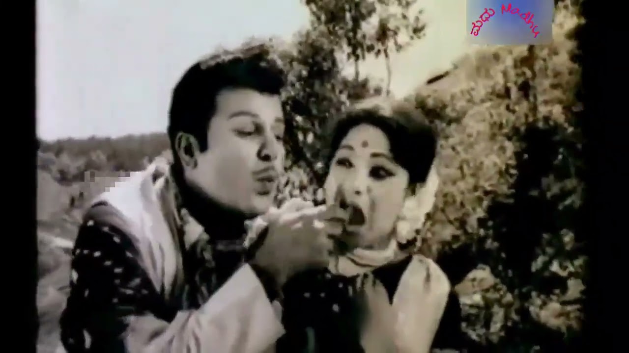 Poruginiti Pullakura Telugu movie Song || Rajunu Choosina || LR ANJALI RAMAKRISHNA