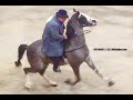 "Equus Horribilis" - Park Pleasure Class At Walking Horse Trainer BOYZ Show - March 20, 2021