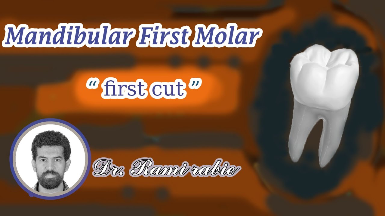 Mandibular first molar carving (part 1) "first cut" YouTube