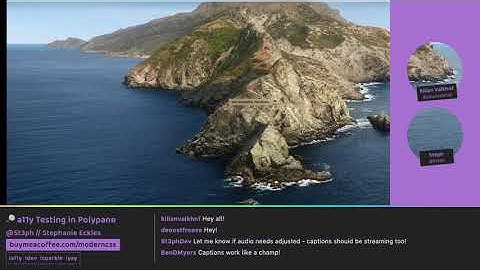 A11y Tooling in Polypane