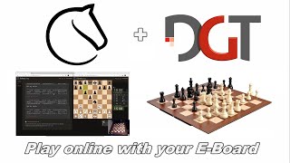 Play on Lichess using a DGT board