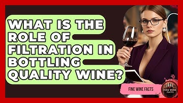 What Is The Role Of Filtration In Bottling Quality Wine? - Fine Wine Facts