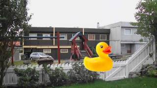 Dirty Duck ( its a song !! ) screenshot 4