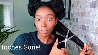 I CUT MY TAILBONE LENGTH NATURAL HAIR || INCHES GONE!