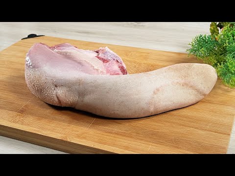 Videó: Hol található a rostos porc?