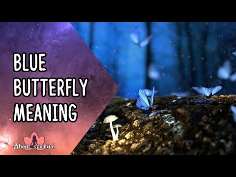 Video: Jaký je symbolický význam modrého motýla?