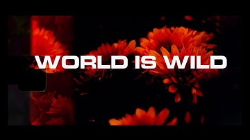 Alex Sombo - The World Is Wild | OFFICIAL MUSIC VIDEO